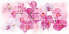 панель пвх 955х480 мм плитка орхидея розея grace