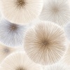 1765_image_big_1
