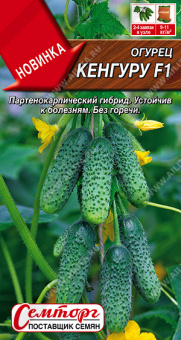 Огурец Кенгуру F1 Ц/П 10 шт АЭЛИТА