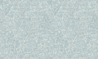 Обои виниловые на флизелиновой основе 1,06 м ERISMANN Enzo 60784-04