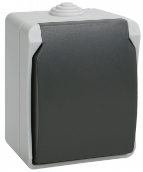 Розетка одинарная открытой установки с/з 16А серая с крышкой IP54 IEK ФОРС