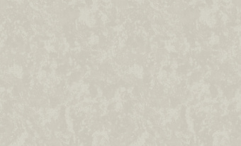 Обои виниловые на флизелиновой основе 1,06 м ERISMANN Mirabelle 60995-04