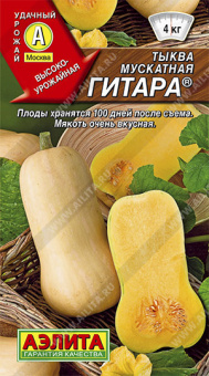 Тыква мускатная Гитара Ц/П 1 г АЭЛИТА