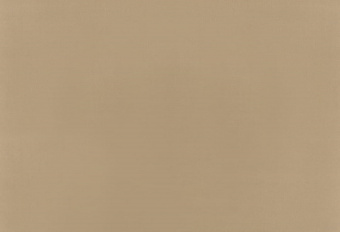 Рулонная штора 47х175 Блэкаут латте LEGRAND2