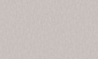 Обои виниловые на флизелиновой основе 1,06 м INDUSTRY ANTURAGE Crocus 8836-14